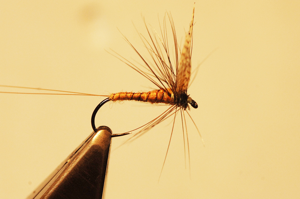 March Brown Dry Fly - Gwent Angling Society