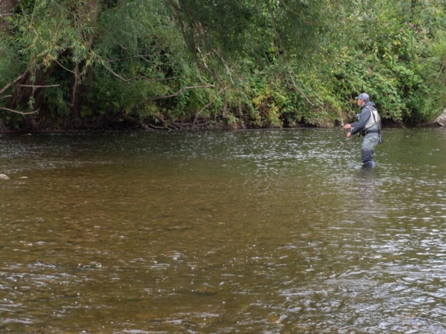 river usk trout