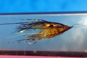 Black and Yellow Intruder-Style Salmon Fly
