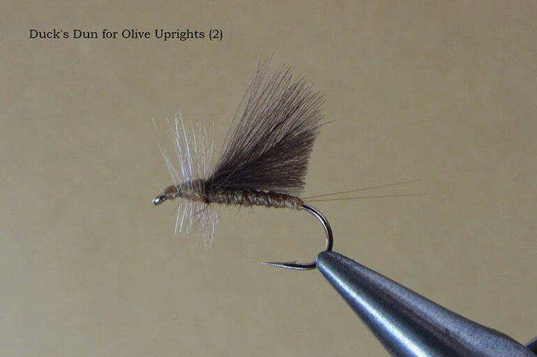 My 6 Favorite Dry Fly Attractor Patterns - 2 Guys and A River