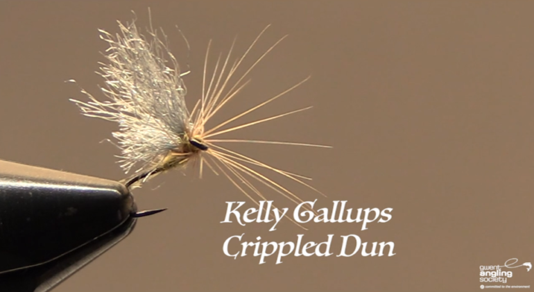 Kelly Galloup’s, Crippled Dun