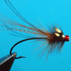 Pot Bellied Pig Tube Fly