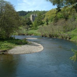 Return to the River Tweed