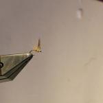 Split-Winged Dry Fly