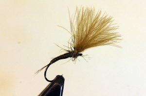 Tying the Quill-Bodied Emerger