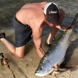 Venezuelan Tarpon