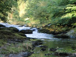 West Wales Rivers Trust – Doethie and Upper Tywi Restoration Projects