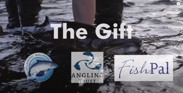 Atlantic Salmon Trust Video – The Gift – Part 3: Catch and Release