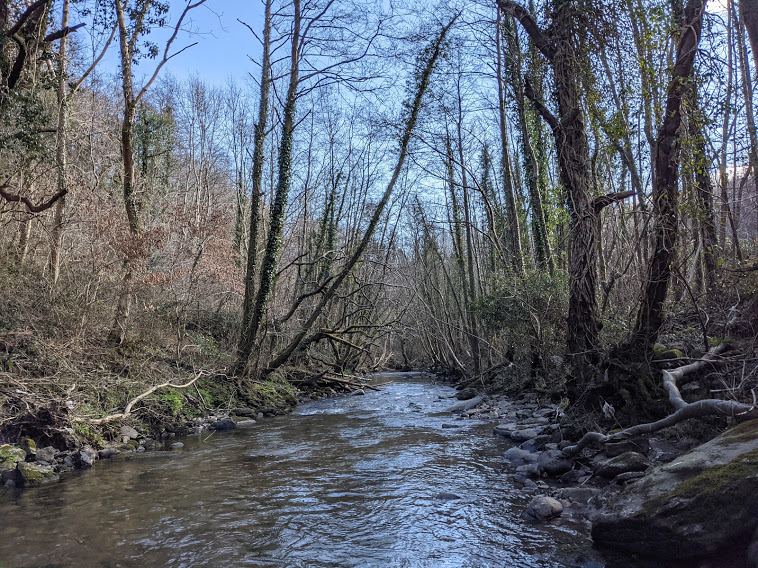 Gwent Angling Society - River Sirhowy