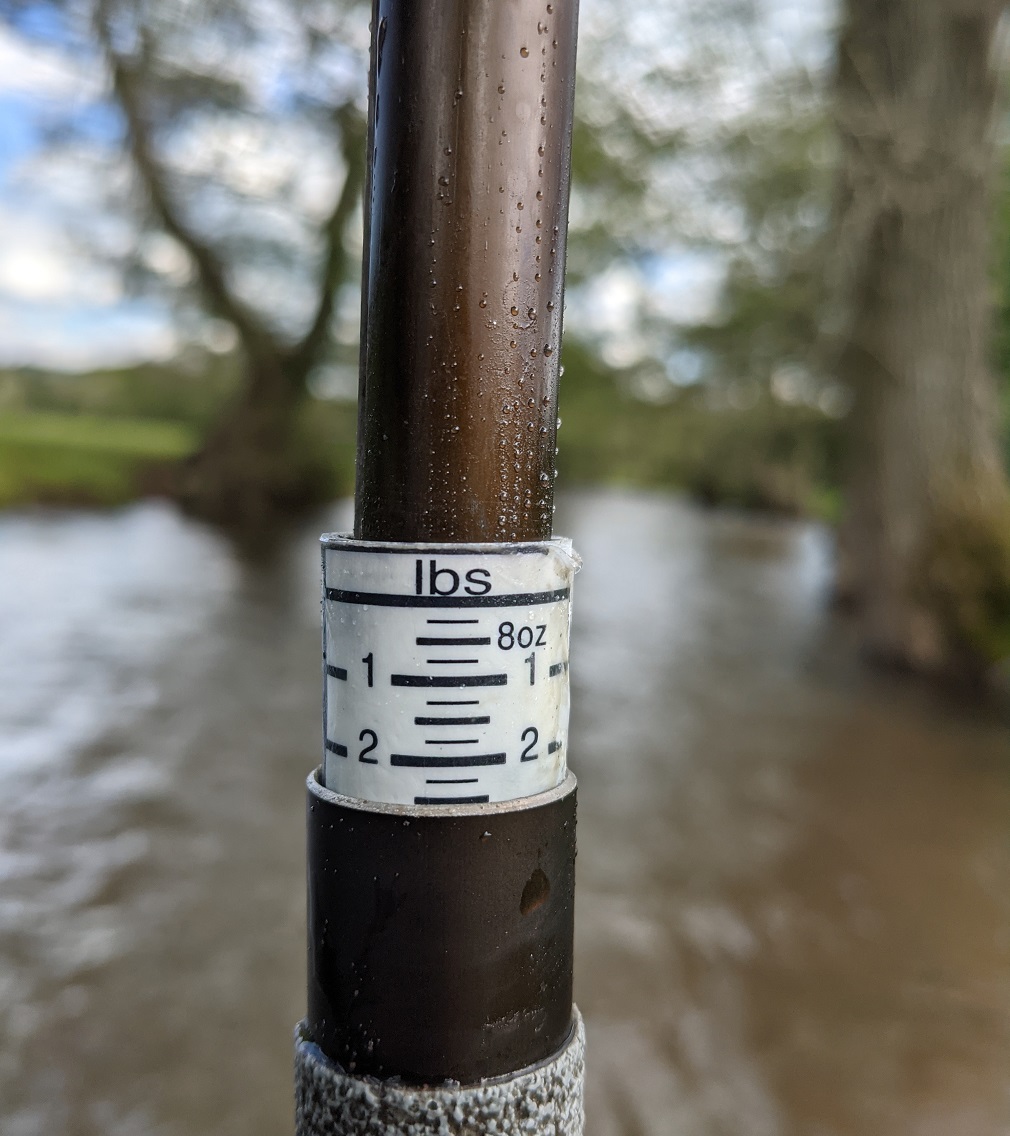 Look After Your Catch Considerations For Successful Fish Care Gwent